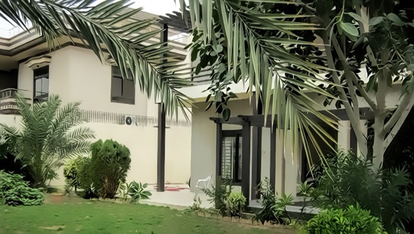 Building Survey Image